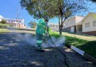 Prefeitura de Guaxupé inicia capina a vapor como alternativa sustentável na limpeza urbana