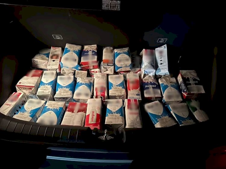 Aves silvestres compradas em Guaxupé são apreendidas na MG-050, em Divinópolis