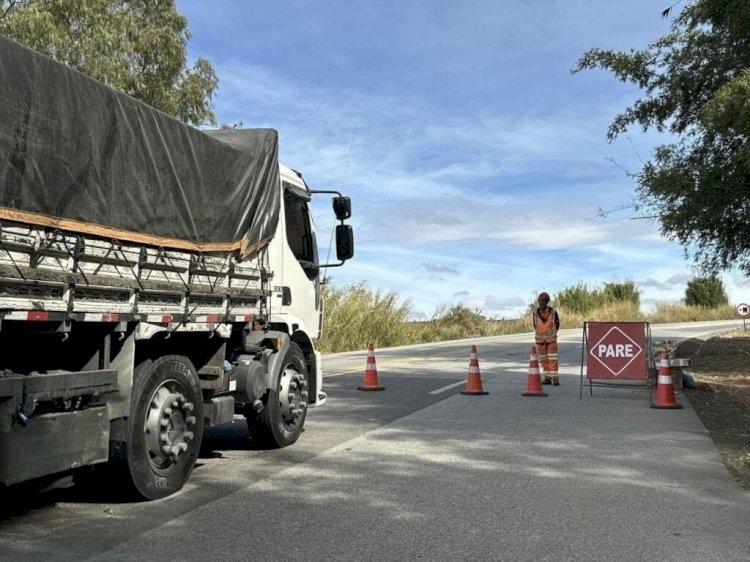 Concessionária remove árvores de risco na BR-146 em Guaxupé neste fim de semana