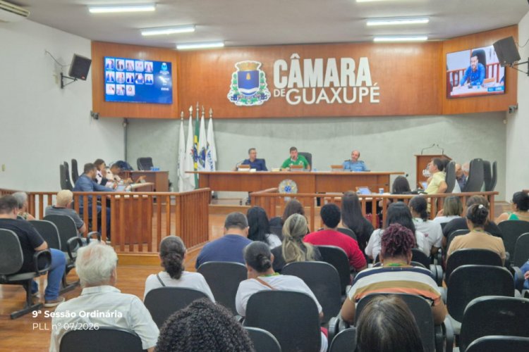 Câmara de Guaxupé aprova lei que garante entrada de cães-guia em locais públicos