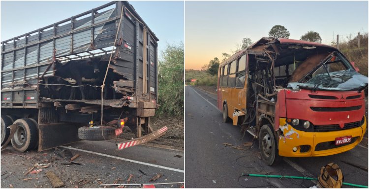 Colisão entre micro-ônibus e caminhão deixa dois feridos em Arceburgo