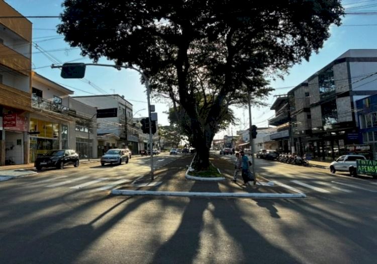 Avenida Dona Floriana passará por grande reforma nos canteiros centrais