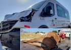 Veículo da Saúde atropela e mata burro durante transporte de pacientes em Bauru