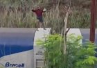 Homem “surfa” sobre trem de carga em Jaú; concessionária da ferrovia emite nota