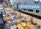 Casal é preso transportado toneladas de maconha e outras drogas na rodovia de Jaú