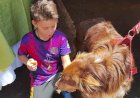 CSU recebe mutirão de vacinação contra a raiva animal neste sábado