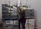 Apreensões de vinho e azeite ilegais crescem na região