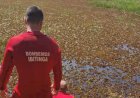 Homem morre afogado em represa de Tabatinga