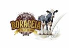 Boraceia tem final de semana agitado com rodeio, expo agro e concurso “Bezerrão 2025”, que premiará o maior bebedor de leite da região