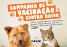 Bariri inicia ciclo de vacinação antirrábica para cães e gatos