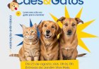Bariri realiza campanha de vacinação antirrábica para cães e gatos neste sábado