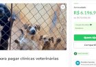 Focinho Carente encerra atendimentos veterinários e abre “vakinha” para pagar dívida de R$ 50 mil