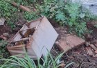 Flagra de morador desovando sofá no Córrego do Sapé acende alerta para crime ambiental; Saiba onde e como descartar resíduos em Bariri