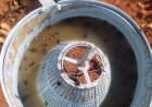 Armadilhas “papa-moscas” mostram eficiência no combate da praga, mas sofrem vandalismo de moradores em Bariri
