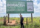 Sicredi confirma instalação de unidade em Boraceia