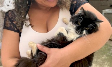 Grande número de animais em situação de rua vira caso de saúde pública em Bariri