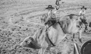 Rodeios voltam a ser liberados em Jaú após nove anos