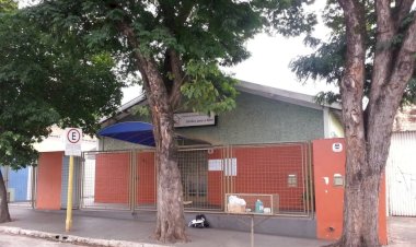 Professora e alunos são atacados por enxame de abelhas em creche de Bauru