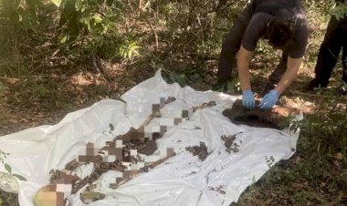 Ossada humana é encontrada em área de mata em Bauru