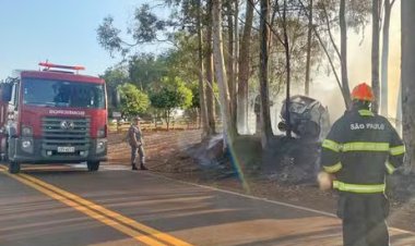 Carro bate em árvore, pega fogo e incendeia vegetação na estrada da balsa de Ibitinga