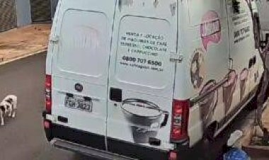 Cão salva mulher de ataque de pitbull em Igaraçu do Tietê