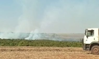 Incêndio consome área ambiental em Ibitinga