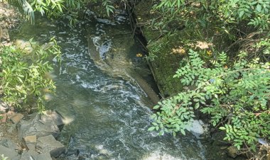 Baririenses relatam forte cheiro de esgoto em áreas que margeiam o Córrego do Sapé e levantam suspeita de crime ambiental