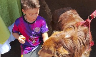 CSU recebe mutirão de vacinação contra a raiva animal neste sábado