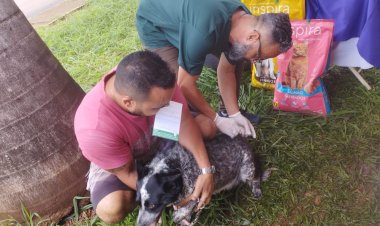 Livramento recebe mutirão de vacinação contra a raiva animal neste sábado