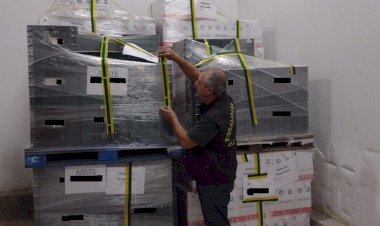 Apreensões de vinho e azeite ilegais crescem na região