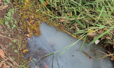 Baririenses denunciam vazamento de produto químico em córrego e Meio Ambiente inspeciona local