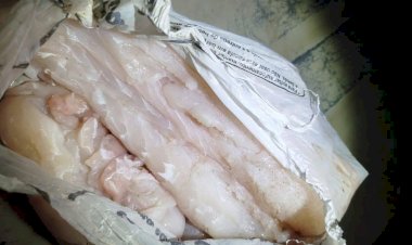 Caçadores de jacaré são presos pela PM Ambiental de Ibitinga