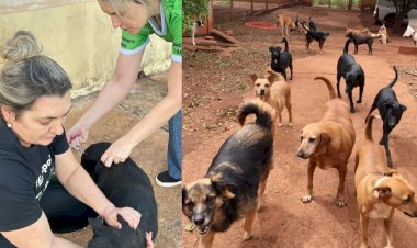 Focinho Carente emite novo pronunciamento e alega que tomou medidas emergenciais para conter epidemia de cinomose em 2024
