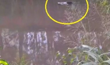 Homem confundido com boneco é salvo por bombeiros após surgir boiando no Rio Jaú