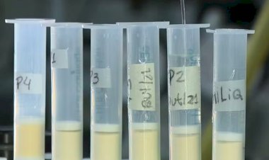 Estudo da Unicamp com amostras colhidas em Brotas identifica 14 agrotóxicos na chuva; duas das substâncias são proibidas no Brasil