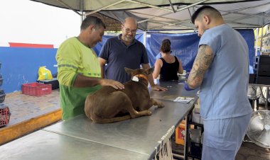Bariri encerra mutirão de saúde animal com mais de 400 animais castrados