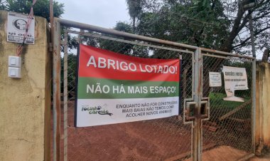 Vereadores divergem sobre contratação de nova ONG para abrigar animais em Bariri