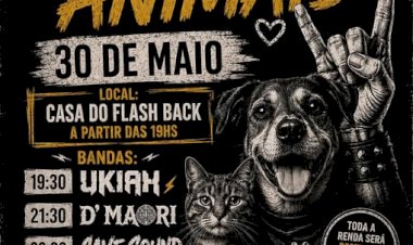 1º Rock pelos Animais é neste sábado em prol do Focinho Carente