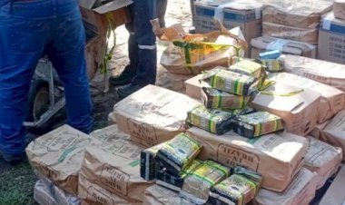 Café Made In Brazil diz que lote apreendido no Paraná é de 2024, questiona compostagem dois anos após apreensão e garante que o caso já foi resolvido