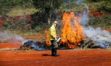 Ação humana é a principal causa de incêndios; confira dicas da Defesa Civil; Período entre junho e outubro é considerada a fase vermelha para incêndios