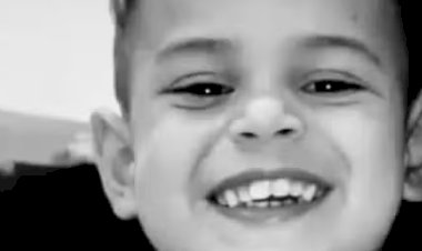 Caso de menino de dois anos morto por pitbull da família reacende debate sobre criação da raça; saiba o que diz a lei