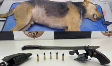 Homem mata cão a tiros após animal cavar buraco em calçada