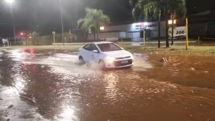 Temporal com ventos de 60 km/h alaga ruas e causa queda de árvores em Bauru