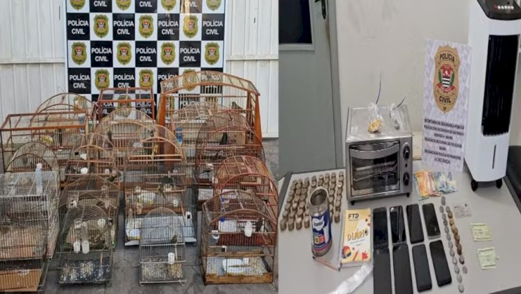 Apreensão de pássaros em cativeiro, drogas e produtos furtados termina com prisão em Iacanga