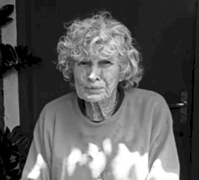 Catadora de recicláveis morre atropelada em Pederneiras