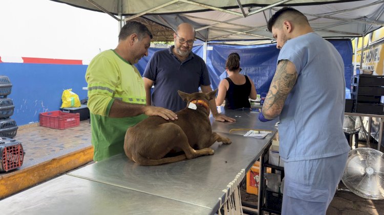 Bariri encerra mutirão de saúde animal com mais de 400 animais castrados