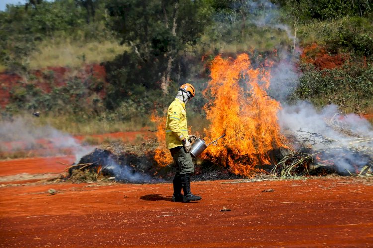 Ação humana é a principal causa de incêndios; confira dicas da Defesa Civil; Período entre junho e outubro é considerada a fase vermelha para incêndios