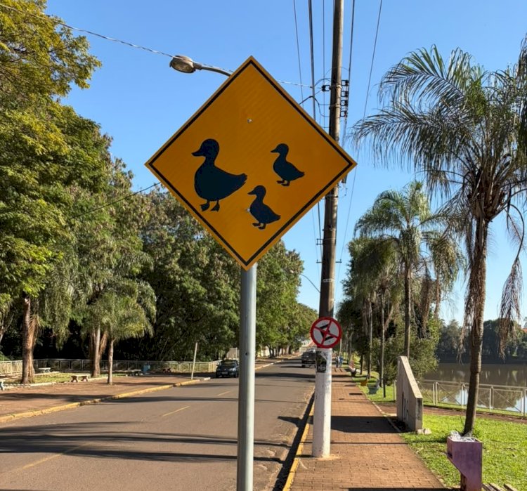 Setor de trânsito instala placas de advertência no Lago de Bariri e alerta motoristas para travessia de patos e gansos