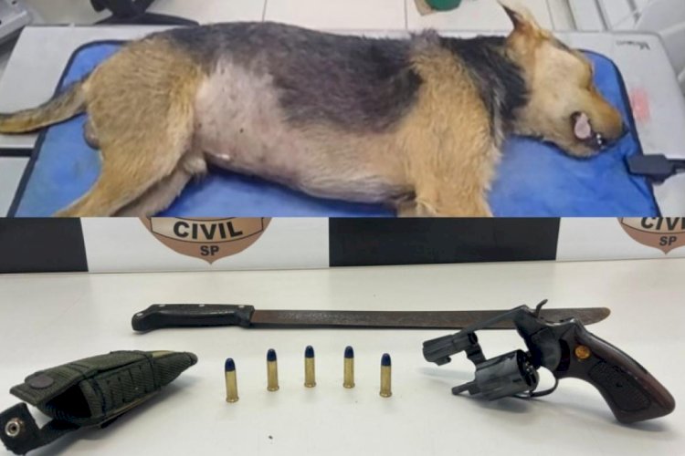 Homem mata cão a tiros após animal cavar buraco em calçada